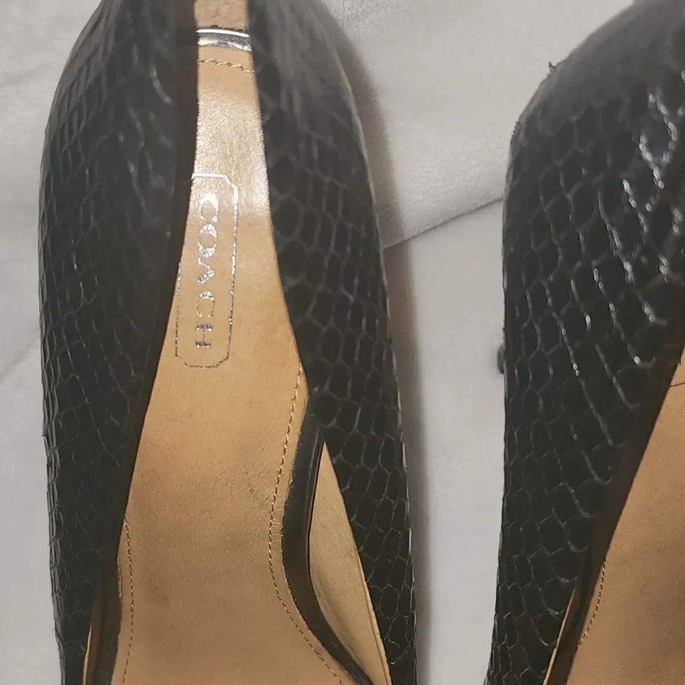 Coach Kristina Pumps